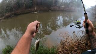 Creek Fishing with a CREME 15quot SPOILER SHAD [upl. by Skyla]