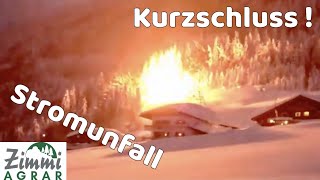 Kurzschluss Stromunfall Baum in FlammenStromüberschlagSchneechaos [upl. by Marlie]