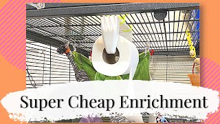 Super Cheap Enrichment for your Rats [upl. by Lezley556]