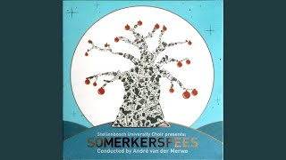 Somerkersfees [upl. by Desma384]