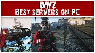 The BEST PC Servers You Need to Play on DayZ [upl. by Cherlyn70]