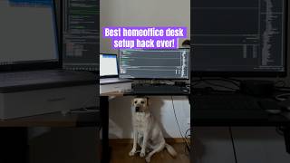 Rate my home office setup Is it a 1010 or does it need more upgrades 🐾❤️ dog shorts [upl. by Jania144]