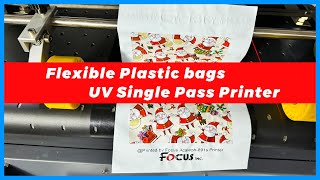 How Acaleph891S UV Single Pass Printer prints on flexible plastic bags [upl. by Aroel864]