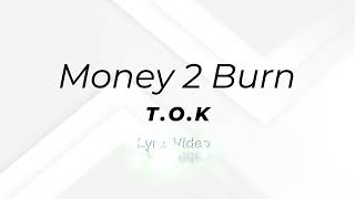 TOK  Money 2 Burn lyrics [upl. by Bellew767]