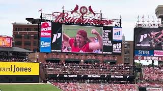 Flex Cam  St Louis Cardinals Baseball [upl. by Aicertal]