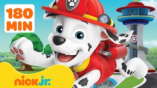 PAW Patrol  De gewaagdste reddingsacties van Marshall van PAW Patrol 🚒 3 uur  Nick Jr Nederlands [upl. by Ahsienod]