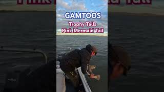 Trophy Tails Pink Mermaid TailDoing the Business on Gamtoos [upl. by Ail]