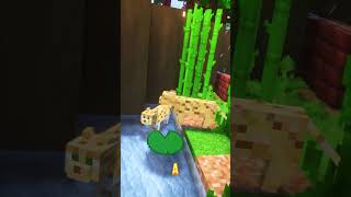 🐯 ANIMALES de la SELVA en MINECRAFT [upl. by Handel]