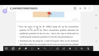 resting membrane potential  action potential [upl. by Aihsekal588]