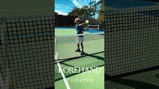 The forehand topspin [upl. by Frieder]