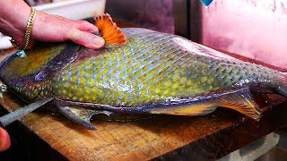 Japanese Street Food  GIANT TITAN TRIGGERFISH Sashimi Seafood Okinawa Japan [upl. by Ecurb163]