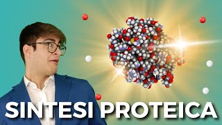 La SINTESI PROTEICA spiegata FACILE in poco meno di 8 minuti  BIOLOGIA FACILE [upl. by Namwob]