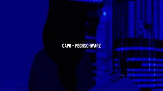 CAPO  PECHSCHWARZ slowed [upl. by Erodoeht]