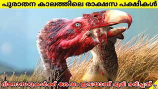 Terror Birds Terrifying Prehistoric Rulers After Dinosaurs  Facts Malayalam  47 ARENA [upl. by Ahgiela]