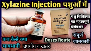 Xylazine Injection use in Veterinary उपयोग व खतरे🤔Doses Route कब कैसे कितनी मात्रा में👉 [upl. by Kata]