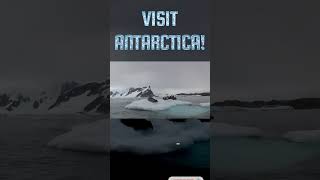 South Georgia and Antarctica A Wildlife Expedition [upl. by Yellhsa]