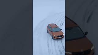 Skoda Karoq Sportline Snow 2024 [upl. by Obe262]