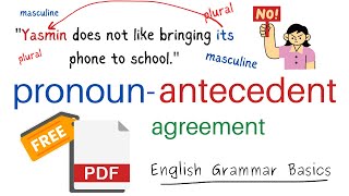 Pronoun Antecedent Agreement in English Grammar [upl. by Akina170]