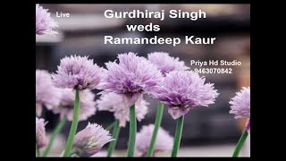 WEDDING CEREMONY II GURDHIRAJ SINGH amp RAMANDEEP KAUR II PRIYA HD STUDIO II 9463070842 [upl. by Ilhsa]