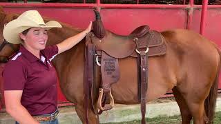 Good Horse How to Properly Fit a Western Saddle [upl. by Glialentn]