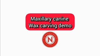 Maxillary canine carving demo Dr NithinK [upl. by Airal]