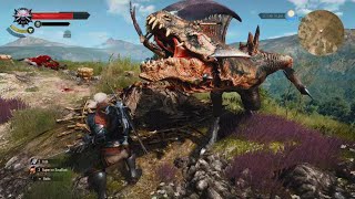 Witcher 3  Fast Draconid Nest 💀☠️🐎🐉🐲🕶️ [upl. by Ehtiaf]