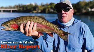 Early October River Report  Lower Sac amp Trinity [upl. by Neral152]