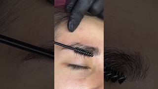 Eyebrow shaping with tweezers brows browshaping eyebrows eyebrow [upl. by Ener]