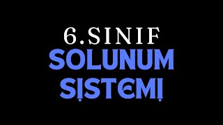 SOLUNUM SİSTEMİ  6Sınıf 2Ünite Kısım 4 2025 [upl. by Mide]