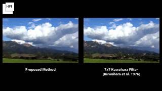 Image and Video Abstraction by Anisotropic Kuwahara Filtering [upl. by Errecart]