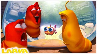 Larva Super Liquid  Larva Cartoons  Comics  Larva Official  Cartoon Box  Cartoon Comedy 2022 [upl. by Brom]