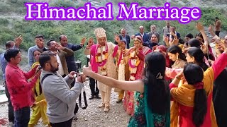 Latest Pahadi Naati dance 2024 Dhol Nagaada Shehnai Himachali old culture Himachali marriage [upl. by Zohara817]