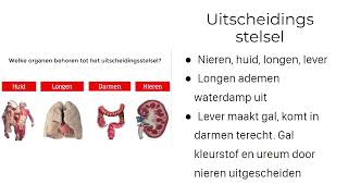 5H  Nectar  H13  Gaswisseling en uitscheiding [upl. by Aknaib]