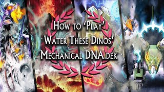 EDOPro How to Play DInomist [upl. by Shannan]