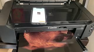 Canon Ip8720 13 x 19 Print Demo [upl. by Trebloc]