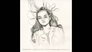 Parenthetical Girls  quotSympathy For Spastics Los Campesinos Remixquot [upl. by Lonier]