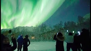 🇳🇴Chasing Lights in Tromsø Norway [upl. by Coletta]