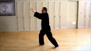 Chen Pan Ling Taijiquan Beginner Drill [upl. by Nirrep601]