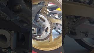 02 Honda RC51 Our new bike  honda fypシ゚viral fun motorcycle viralvideo 101garagearizona [upl. by Pinsky]