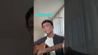 Kokomo The Beach Boys cover ココモ ビーチボーイズのカバー曲弾き語り Yosuke Arita [upl. by Treb68]