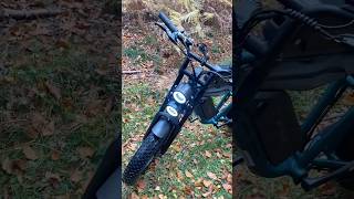 ENGWE M20  driving in the woods live nature easy driving bike ebike relax live m20 engwe [upl. by Edia181]