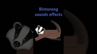 Binturong sounds effects [upl. by Toy625]