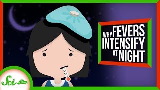 Why Do Fevers Get Worse at Night [upl. by Godliman]