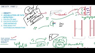 quotClinical Perspectives on Obesity Metabolic Changes in Blood Pressure Lipids and BMIquot part 2a [upl. by Larochelle]