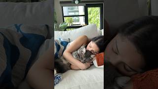 Cuddly life with the cuddliest cat in the 🌎 viral [upl. by Aliac299]