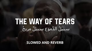 quotThe Way of Tearsquot Relaxing Sad Arabic Nasheed  Voice Cover by Jawad Ahmad [upl. by Chas565]