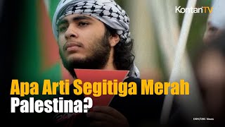 Apa Arti Segitiga Merah Terbalik yang Ramai Dibawa di Gerakan Pro Palestina  Kontan News [upl. by Heilman]