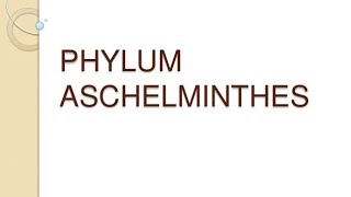 Phylum Nemathehelminthes best for cee  name institute [upl. by Irdua]