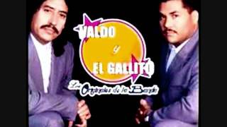 VALDO Y EL GALLITO NO ME HAGAS MENOS [upl. by Nigem]