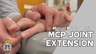 MMT Metacarpophalangeal MCP Joint Extension Manual Muscle Test [upl. by Nissie]